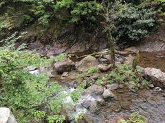 -宁波五龙潭景区
