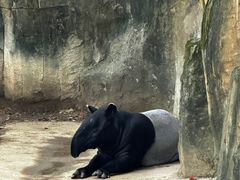 -杭州野生动物世界