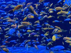 -成都浩海立方海洋公园