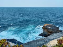 -沃森湾