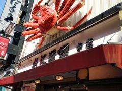 -蟹道乐(道顿堀本店)
