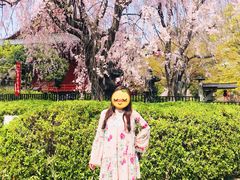 -上野公园花园稻荷神社(忍岡稲荷神社)