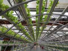 -兴芮温泉度假区