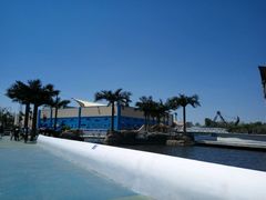 -秦皇岛乐岛海洋王国