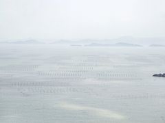 -花竹村