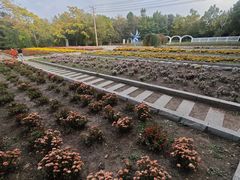 -黑龙江省森林植物园