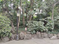 -盆景园(扬州大运河文化旅游度假区)