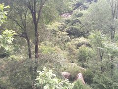 -抱龙峪