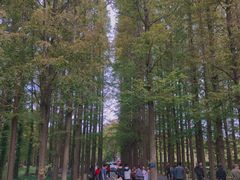 -渡海小渔村.老辈日照菜