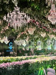 -迈瑞米求婚策划(静安店)