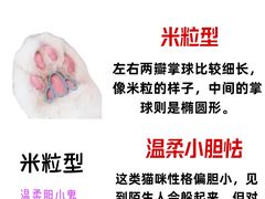 -瑞鹏宠物医院·骨外科·心肾科·肿瘤科(九亭店)
