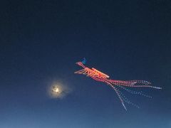 -第35届青岛国际啤酒节