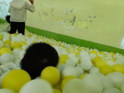 -宝燕乐园(闵行旗舰店)