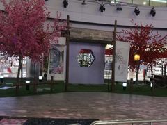 -鹏欣水游城
