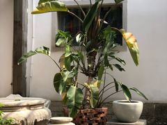 -聚春园驿馆(福州三坊七巷店)