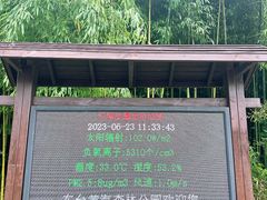 -黄海国家森林公园
