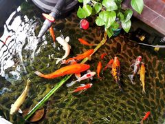 -尺山寸水日料(马桥满天星店)