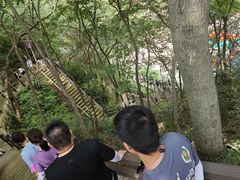 -对天河漂流