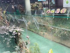 -上海大自然野生昆虫馆(东方明珠·爬宠昆虫探索中心)