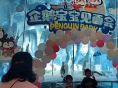 -帝企鹅自助餐厅•儿童岛•真企鹅(长隆企鹅酒店)