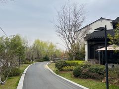 -雅达·阳羡溪山小镇中心