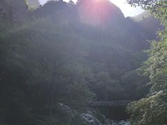 -青峰峡国家森林公园