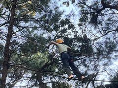 -芦仙山景区-飞越丛林探险乐园