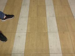 -凤凰山海港乐园