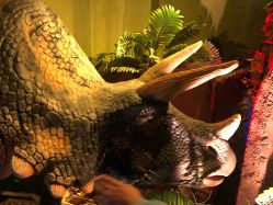 点击看大图 -恐龙探索乐园(磁器口店)