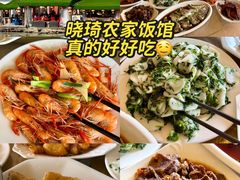 -晓琦农家菜馆·地道农家菜