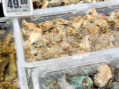 -物美大卖场(玉蜓桥店)