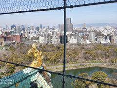 -名古屋城
