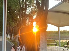 -合肥滨湖国家森林公园