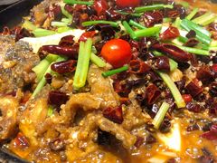 老板恋上鱼-老板恋上鱼(恒隆广场店)