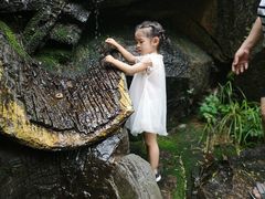 -黑龙潭风景区