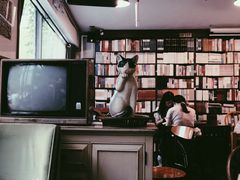 -旧天堂书店(华侨城创意文化园南山特色文化街区店)