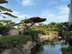 -罗红摄影艺术馆