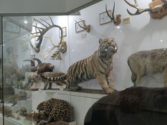-阿尔谢尼耶夫远东历史博物馆(阿尔谢尼耶夫滨海区店)