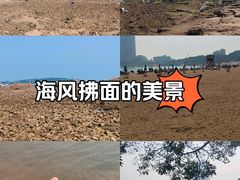 -青岛第二海水浴场