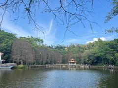 -深圳仙湖植物园