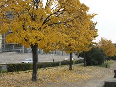 -多瑙河畔鞋履雕塑