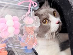 -美联众合动物医院·24h京西诊疗中心