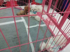 -北京华联购物中心(同成街店)