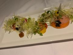 -蝶舍·MAISON PAPILLON