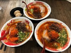 -豚王拉面(铜锣湾店 )