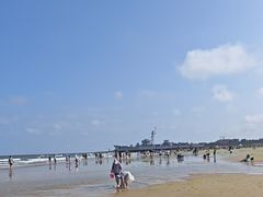 -日照海滨国家森林公园