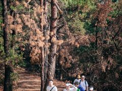 -青龙山国家森林公园