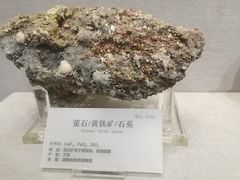 -湖南省地质博物馆