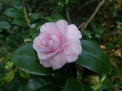 -华南国家植物园-售票处