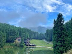 -武陵山森林公园